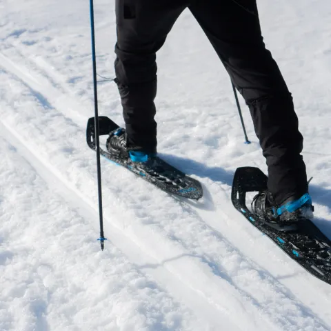 Schneeschuhwandern
