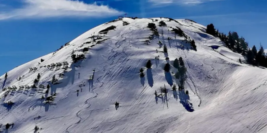 Skipiste Donnersbachwald